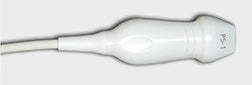 Siemens Acuson X300 P5-1 Transducer